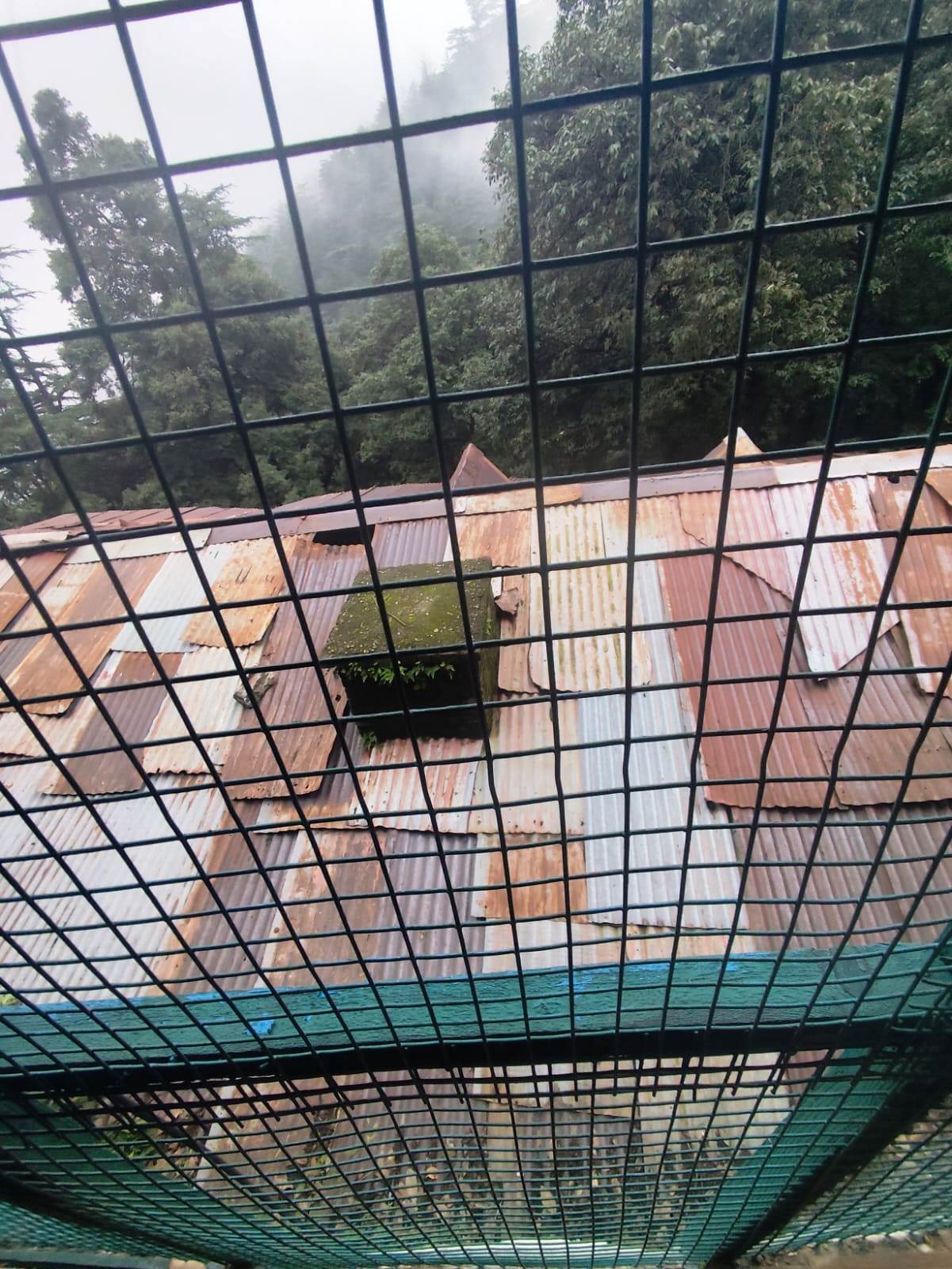 4.5 Biswa Drive In Plot for Sale in Near 5 Banches , Jakhu, Jakhu, Shimla